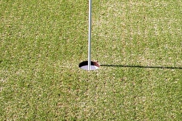 Why Golf Courses Aerate Greens (Plus How To Putt Well On Them) - Project Golf Australia